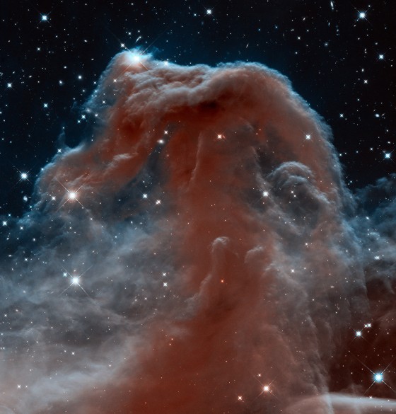 The Horsehead Nebula in Infrared from Hubble.
