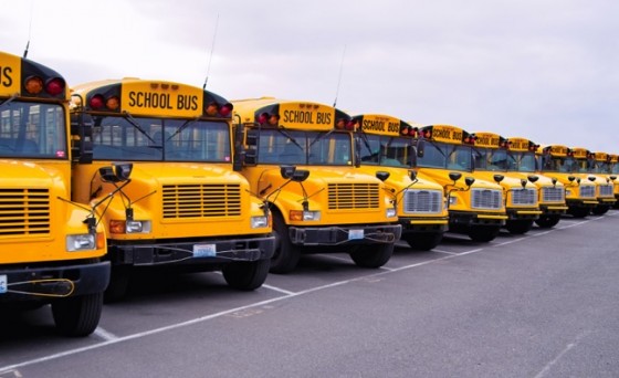 school-buses