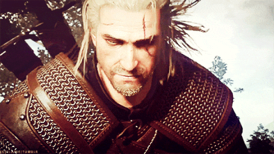 The-Witcher-3.1.gif