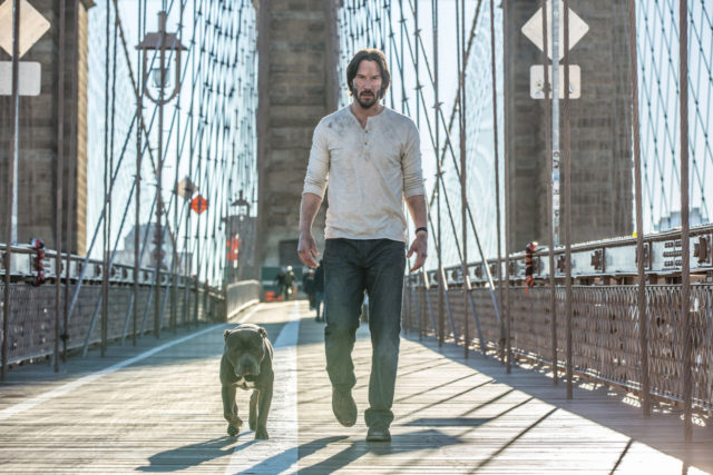 John Wick: Chapter 2 dog