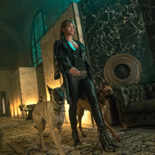 john wick 3 halle berry dogs