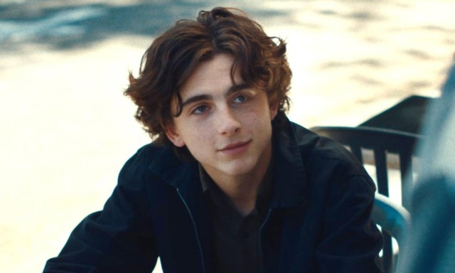 timothée chalamet dune lead role