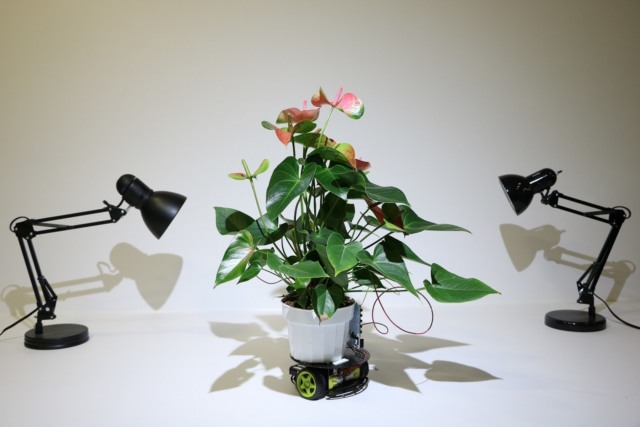 mit robotic houseplant