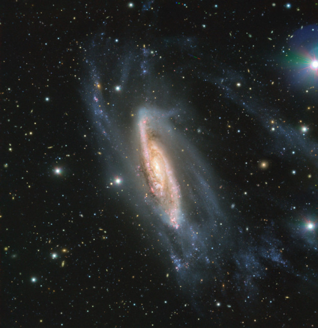 ngc 3981