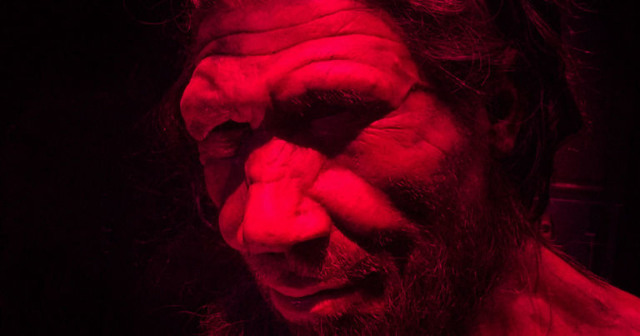 scientists mini brains neanderthal dna scientists mini brains neanderthal dna