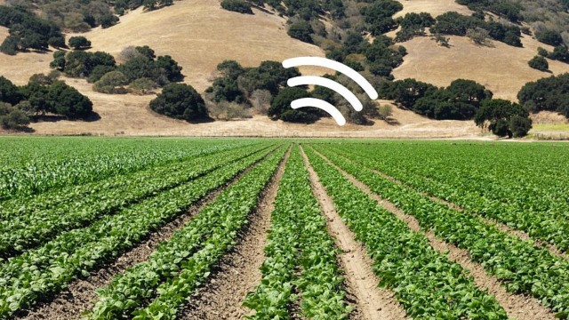 nanotech scientists teach spinach how to send emails