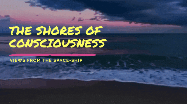 views shores of consciousness