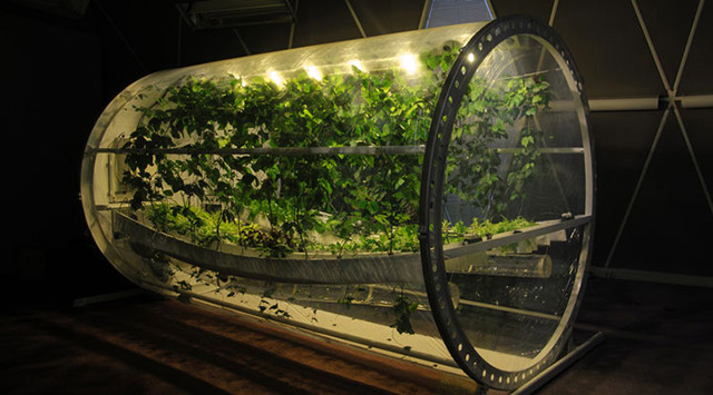 full greenhouse international space station